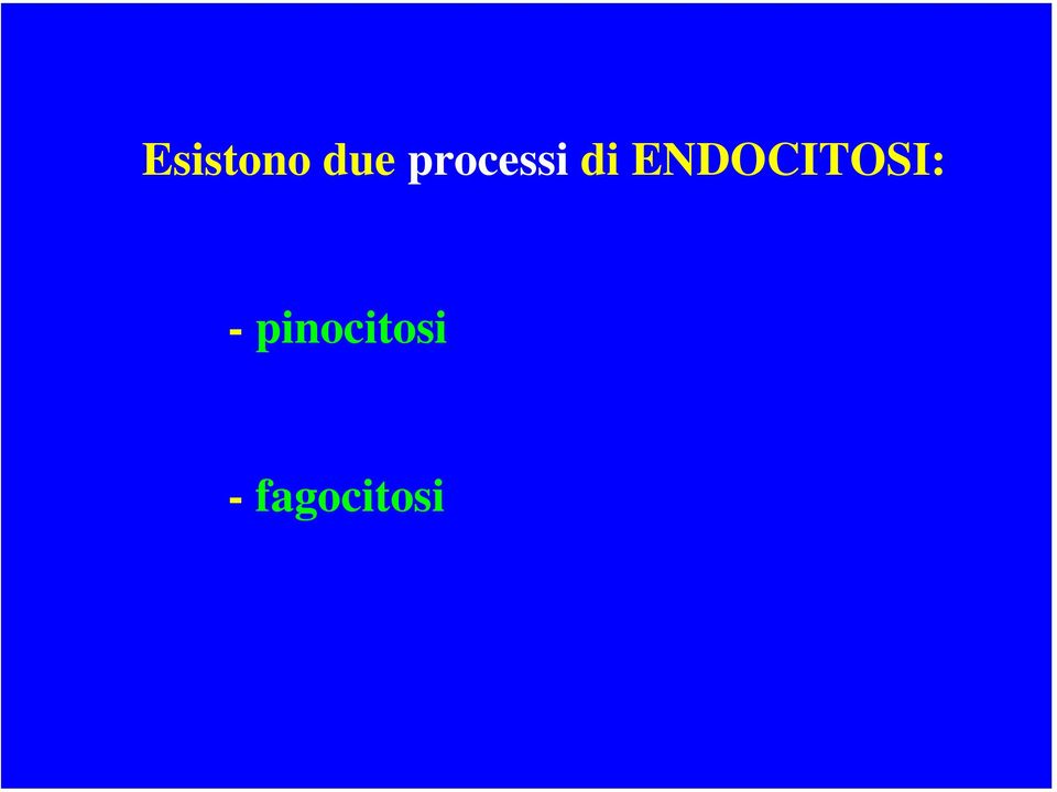 ENDOCITOSI: -