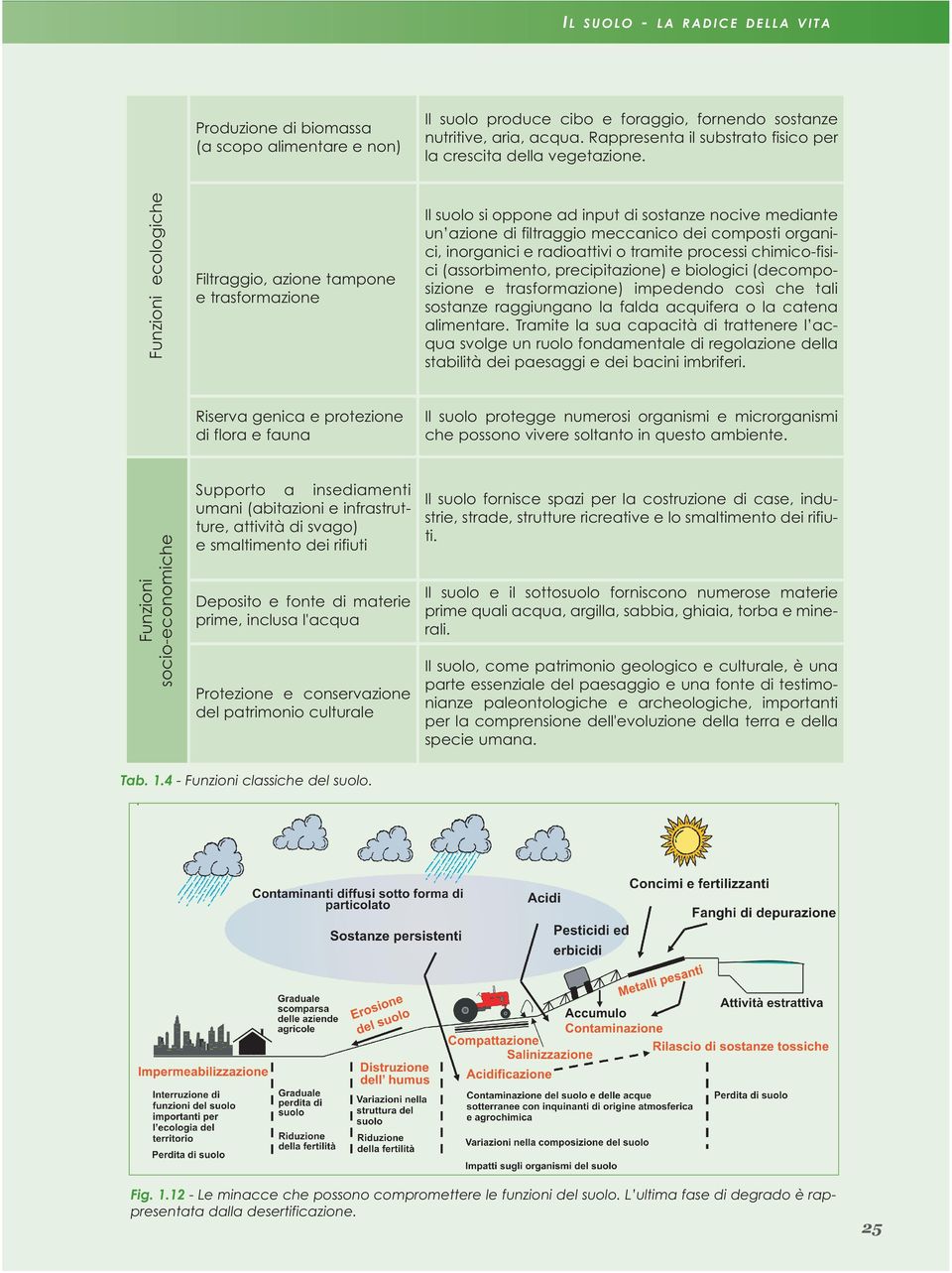 Filtraggio, azione tampone e trasformazione Il suolo si oppone ad input di sostanze nocive mediante un azione di filtraggio meccanico dei composti organici, inorganici e radioattivi o tramite