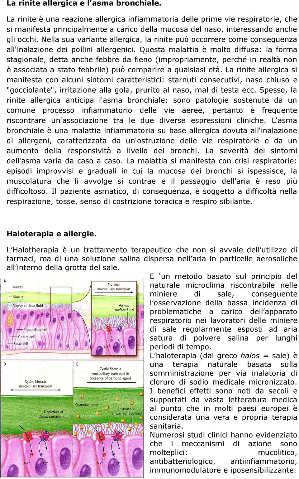 Nella sua variante allergica, la rinite può occorrere come conseguenza all'inalazione dei pollini allergenici.