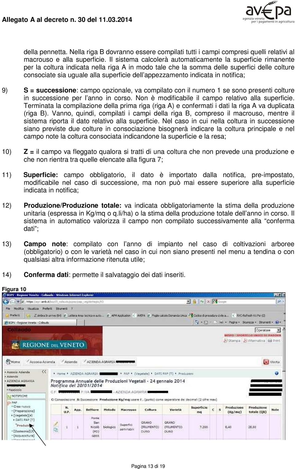 appezzamento indicata in notifica; 9) S = successione: campo opzionale, va compilato con il numero 1 se sono presenti colture in successione per l anno in corso.