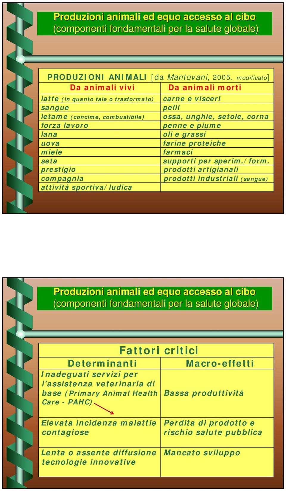 attività sportiva/ludica carne e visceri pelli ossa, unghie, setole, corna penne e piume oli e grassi farine proteiche farmaci supporti per sperim./form.