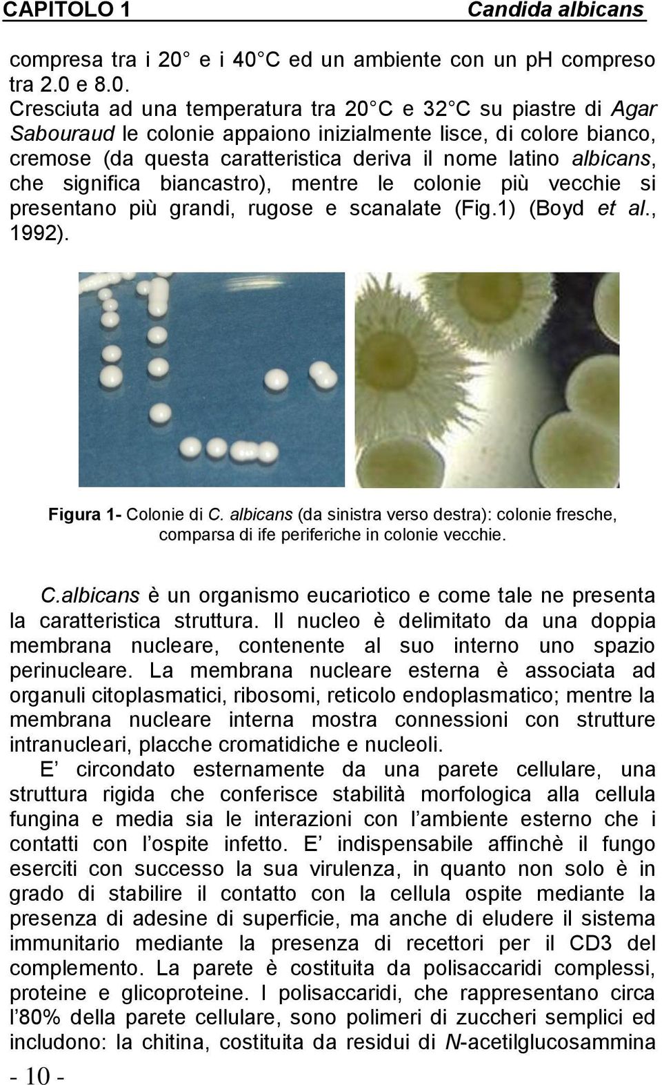 C ed un ambiente con un ph compreso tra 2.0 