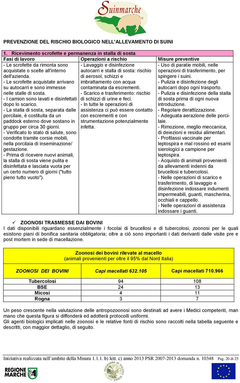 - La stalla di sosta, separata dalle porcilaie, è costituita da un paddock esterno dove sostano in gruppo per circa 30 giorni.