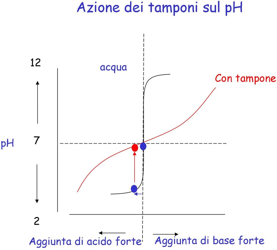 ph 7 2 Aggiunta di acido