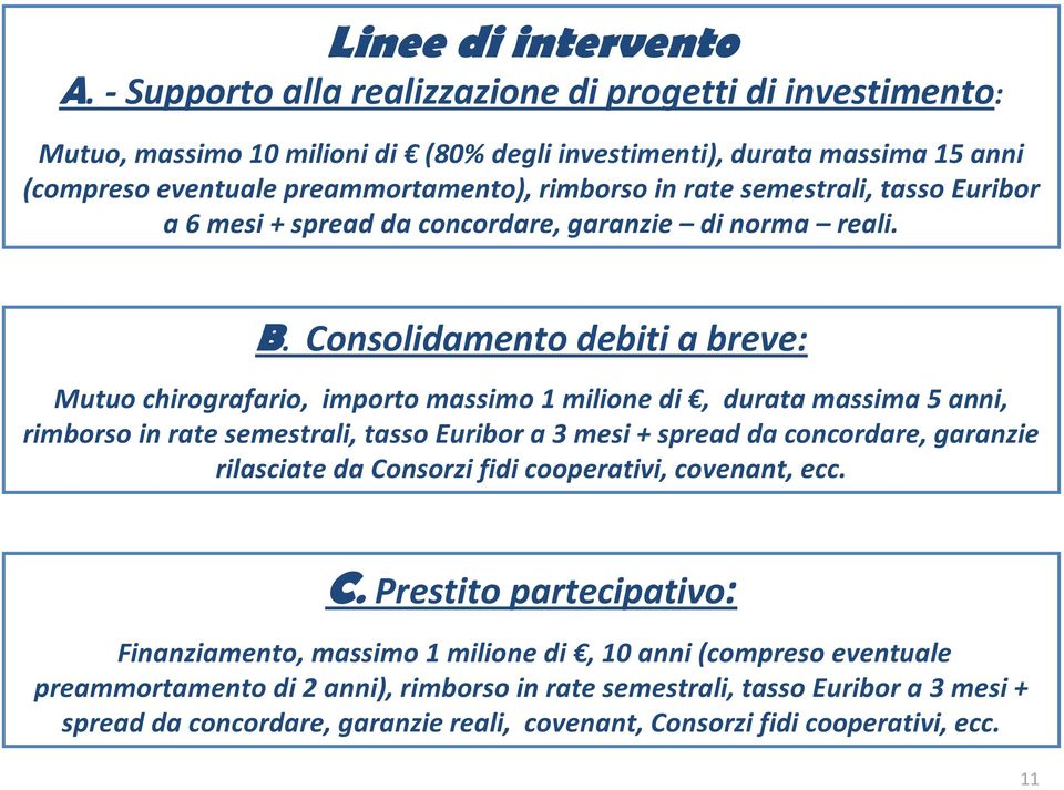 semestrali, tasso Euribor a 6 mesi + spread da concordare, garanzie di norma reali. B.