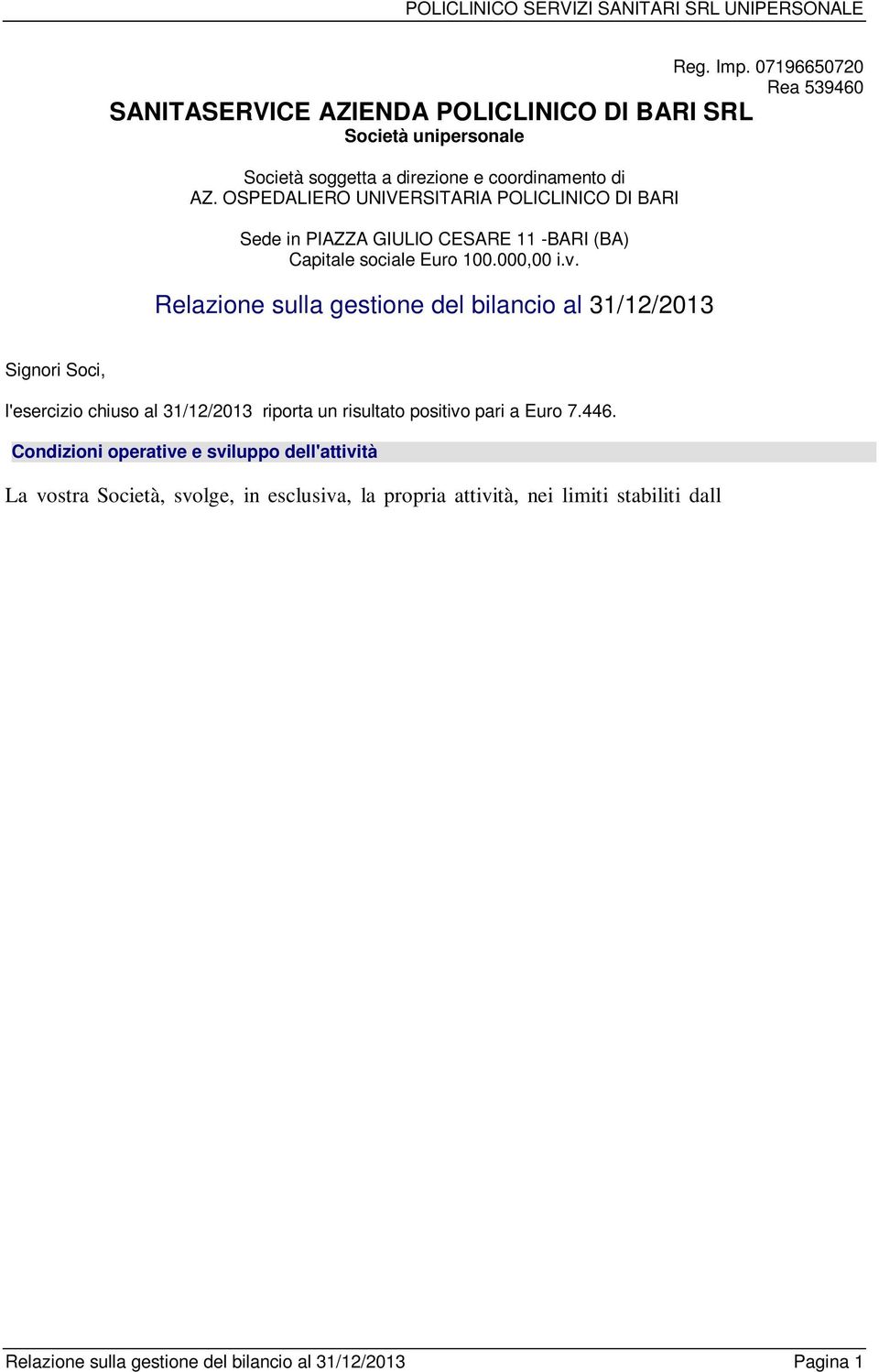 Relazione sulla gestione del bilancio al 31/12/2013 Signori Soci, l'esercizio chiuso al 31/12/2013 riporta un risultato positivo pari a Euro 7.446.