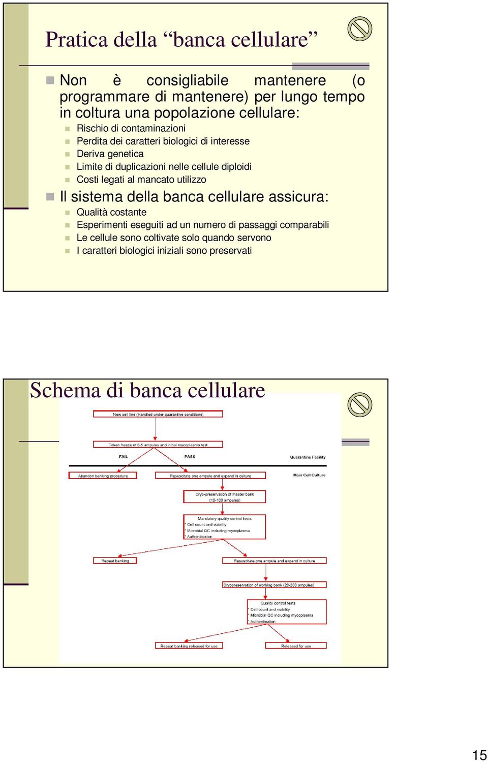 diploidi Costi legati al mancato utilizzo Il sistema della banca cellulare assicura: Qualità costante Esperimenti eseguiti ad un numero