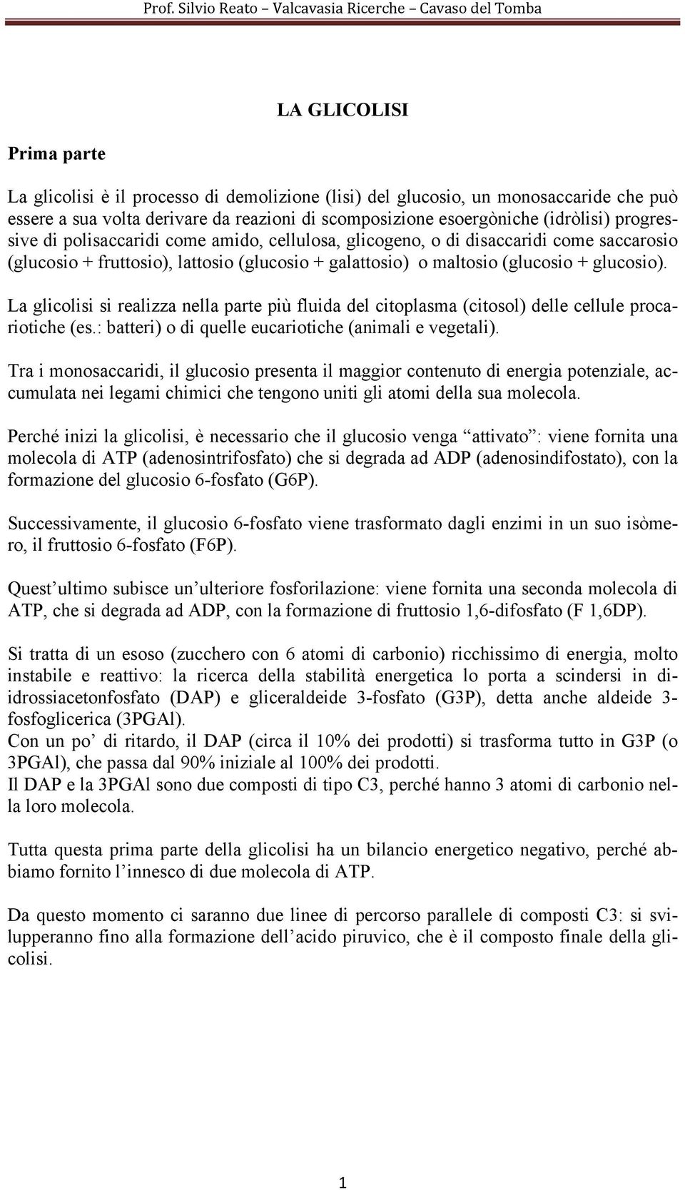 galattosio) o maltosio (glucosio + glucosio). La glicolisi si realizza nella parte più fluida del citoplasma (citosol) delle cellule procariotiche (es.