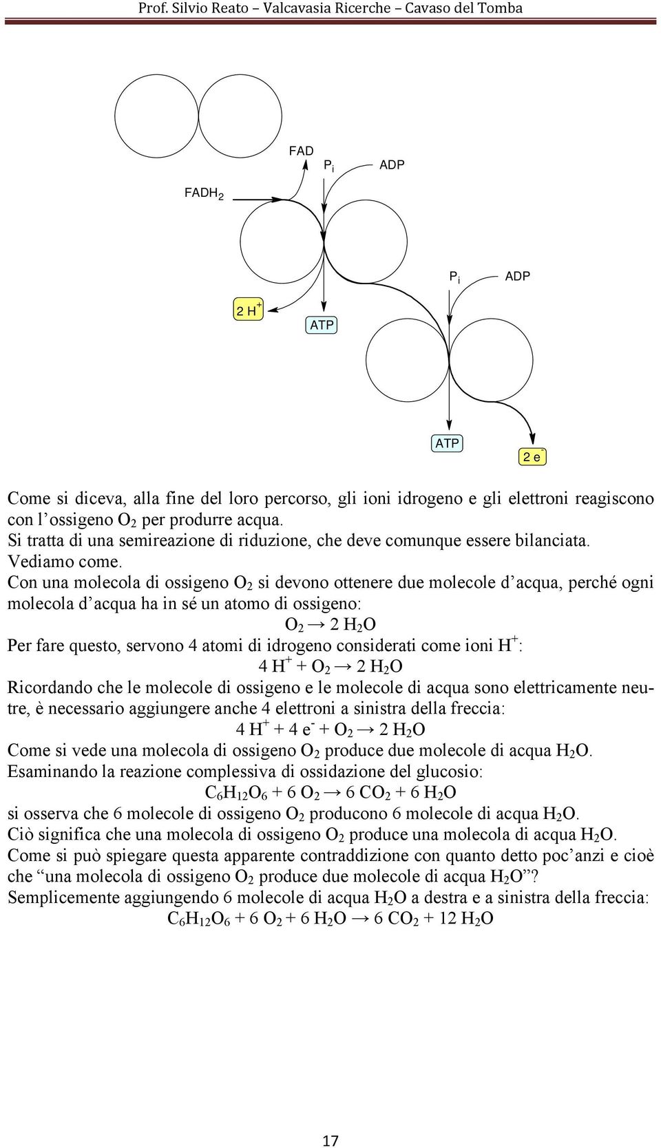 on una molecola di ossigeno 2 si devono ottenere due molecole d acqua, perché ogni molecola d acqua ha in sé un atomo di ossigeno: 2 2 2 er fare questo, servono 4 atomi di idrogeno considerati come