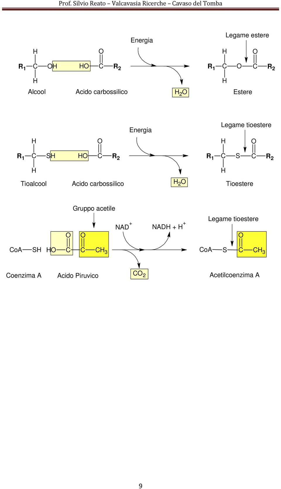 2 R 1 S R 2 Tioalcool Acido carbossilico 2 Tioestere Gruppo acetile NAD + NAD +