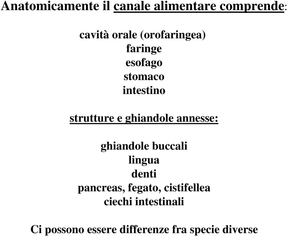 ghiandole annesse: ghiandole buccali lingua denti pancreas,