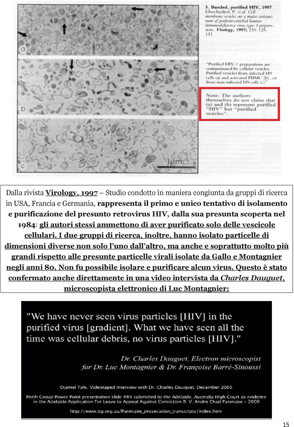 I due gruppi di ricerca, inoltre, hanno isolato particelle di dimensioni diverse non solo l uno dall altro, ma anche e soprattutto molto più grandi rispetto alle presunte particelle