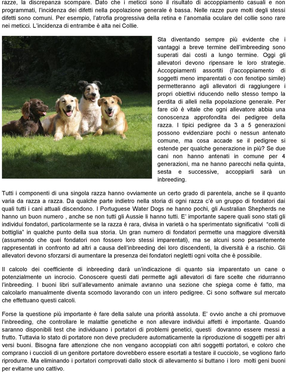 L incidenza di entrambe è alta nei Collie. Sta diventando sempre più evidente che i vantaggi a breve termine dell imbreeding sono superati dai costi a lungo termine.