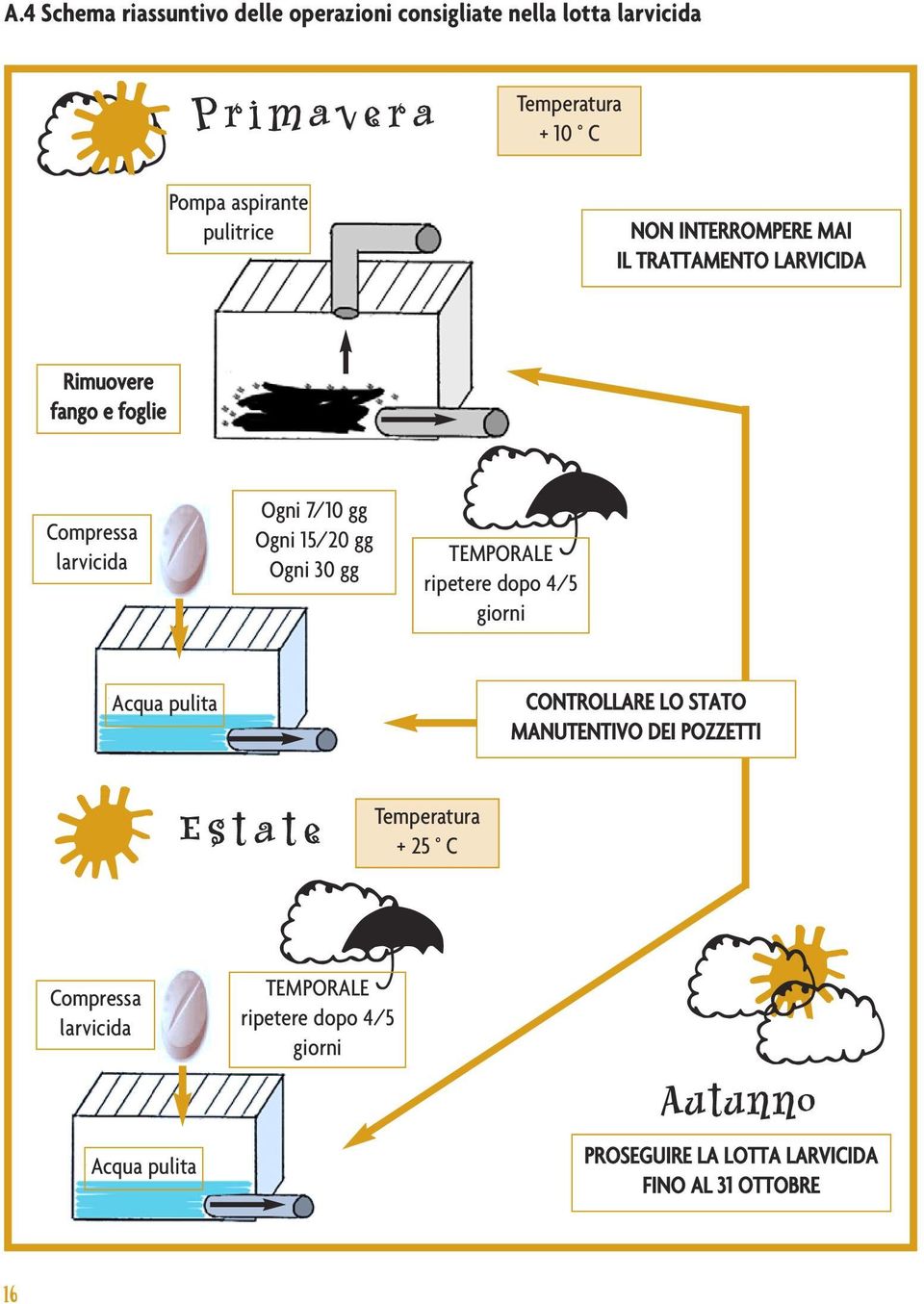 Ogni 30 gg oq TEMPORALE ripetere dopo 4/5 giorni p Compressa larvicida Acqua pulita Acqua pulita Estate Temperatura + 25 C oq