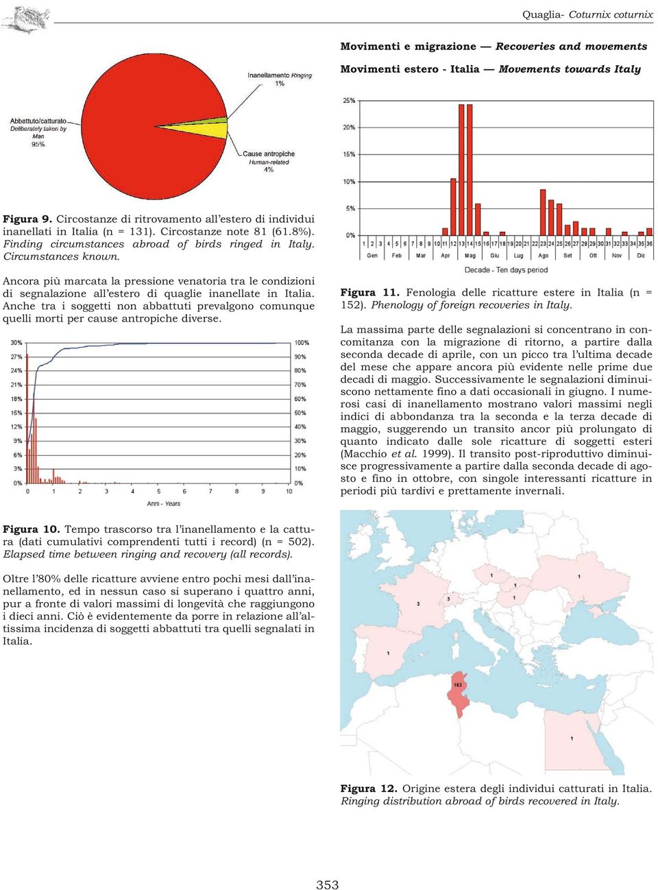 Ancora più marcata la pressione venatoria tra le condizioni di segnalazione all estero di quaglie inanellate in Italia.