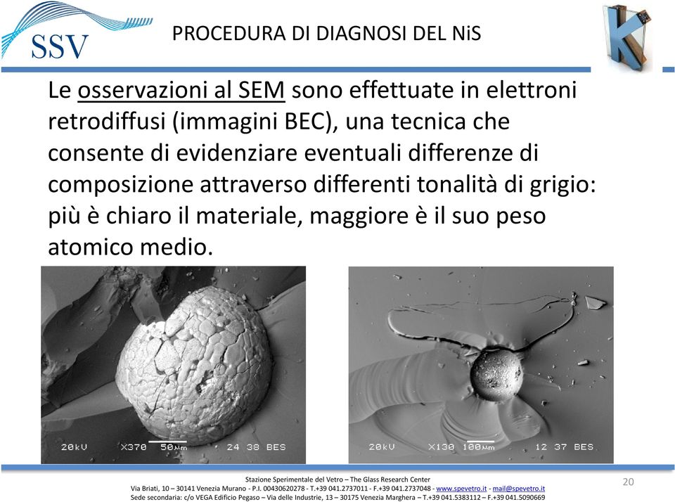 evidenziare eventuali differenze di composizione attraverso differenti