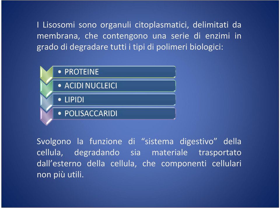 Svolgono la funzione di sistema digestivo della cellula, degradando sia