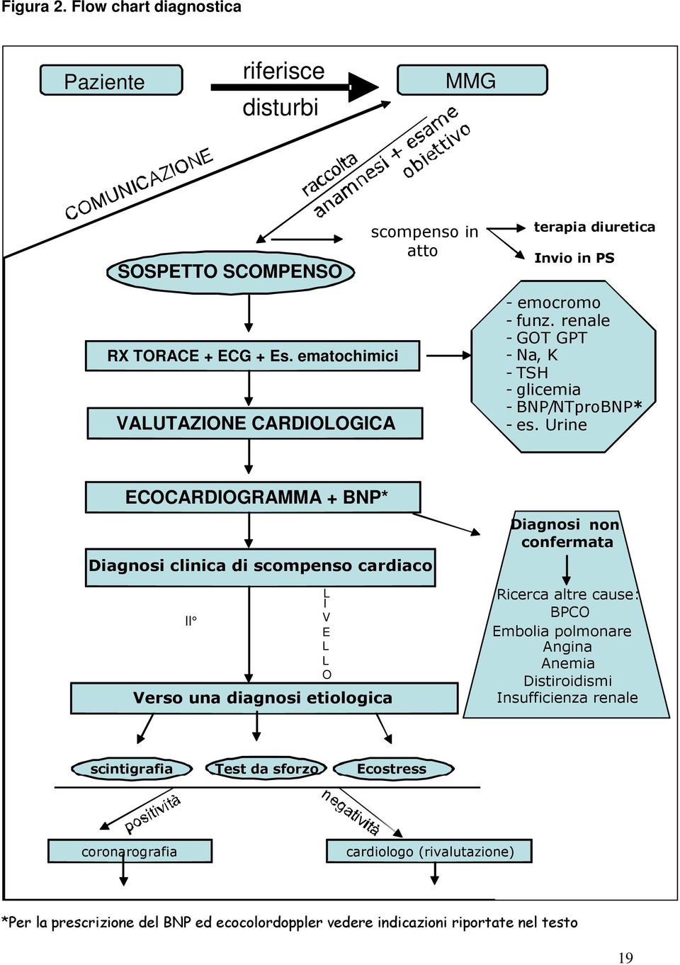 Urine ECOCARDIOGRAMMA + BNP* Diagnosi clinica di scompenso cardiaco II L I V E L L O Verso una diagnosi etiologica Diagnosi non confermata Ricerca altre cause: BPCO