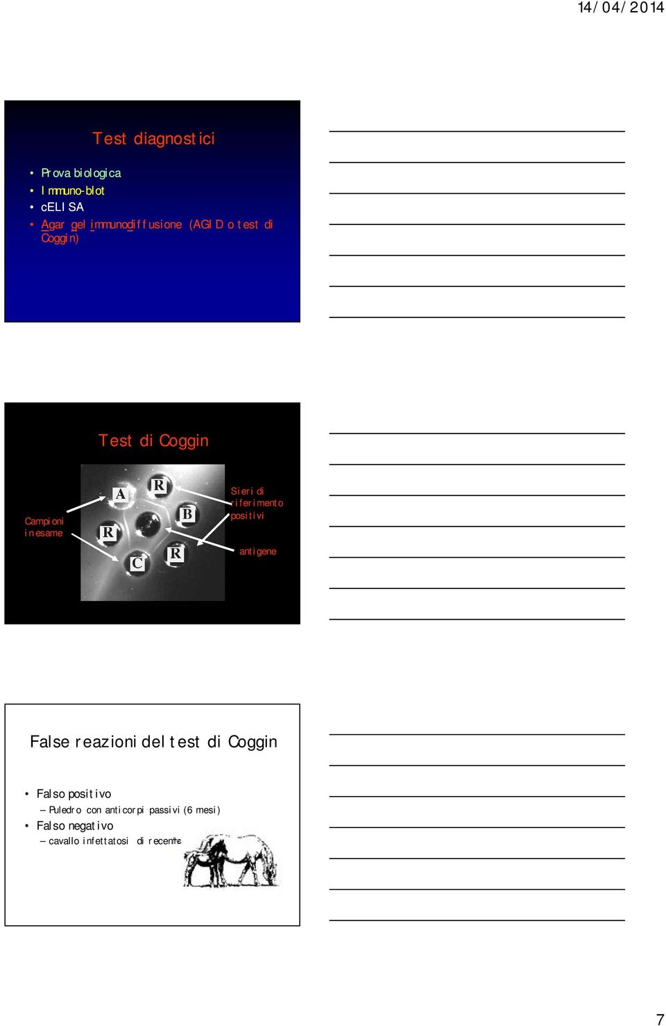 positivi antigene False reazioni del test di Coggin Falso positivo Puledro