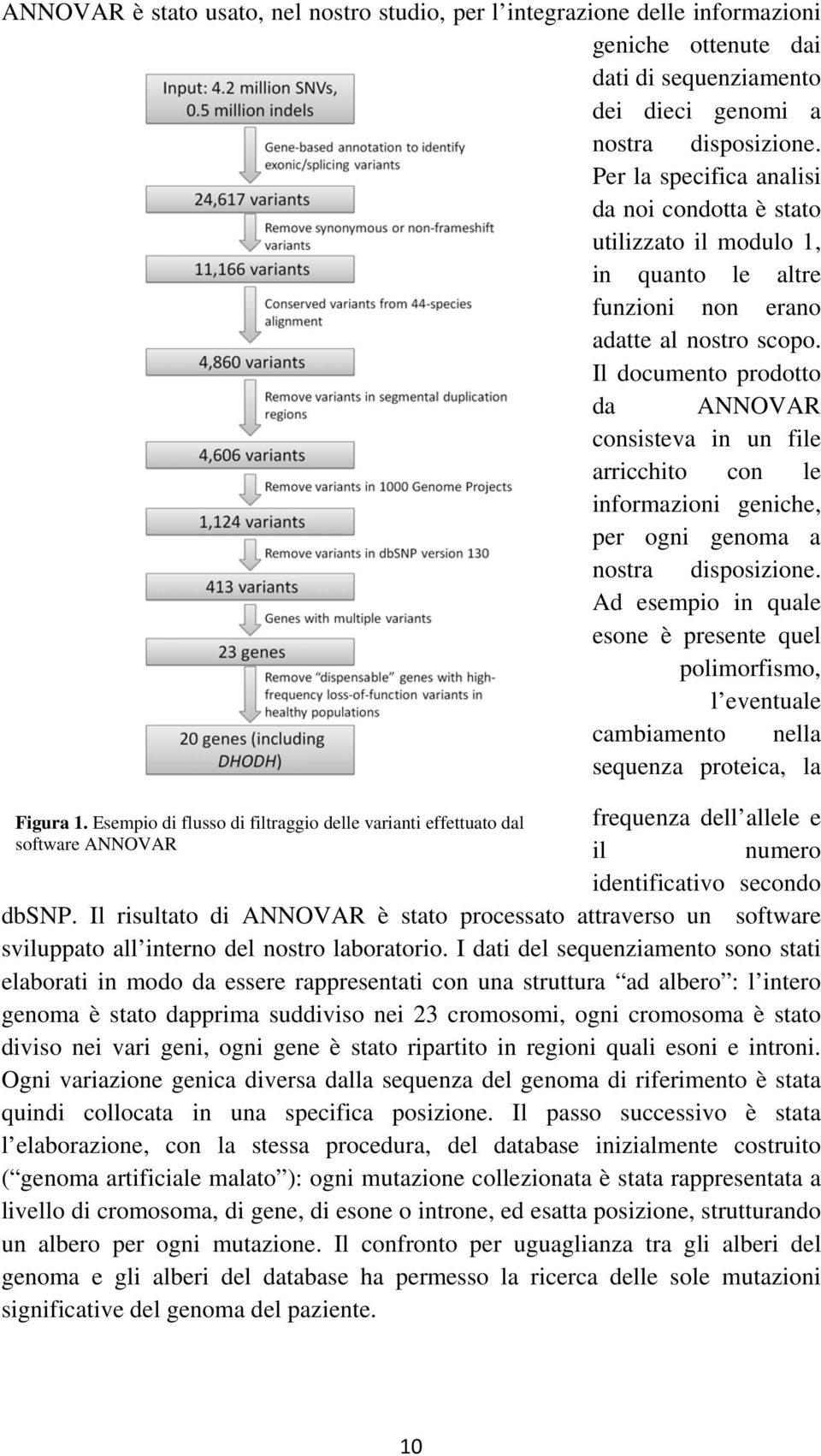 Il documento prodotto da ANNOVAR consisteva in un file arricchito con le informazioni geniche, per ogni genoma a nostra disposizione.