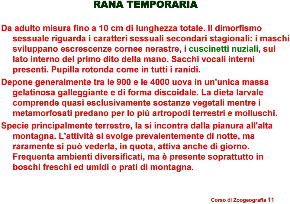 Sacchi vocali interni presenti. Pupilla rotonda come in tutti i ranidi. Depone generalmente tra le 900 e le 4000 uova in un'unica massa gelatinosa galleggiante e di forma discoidale.