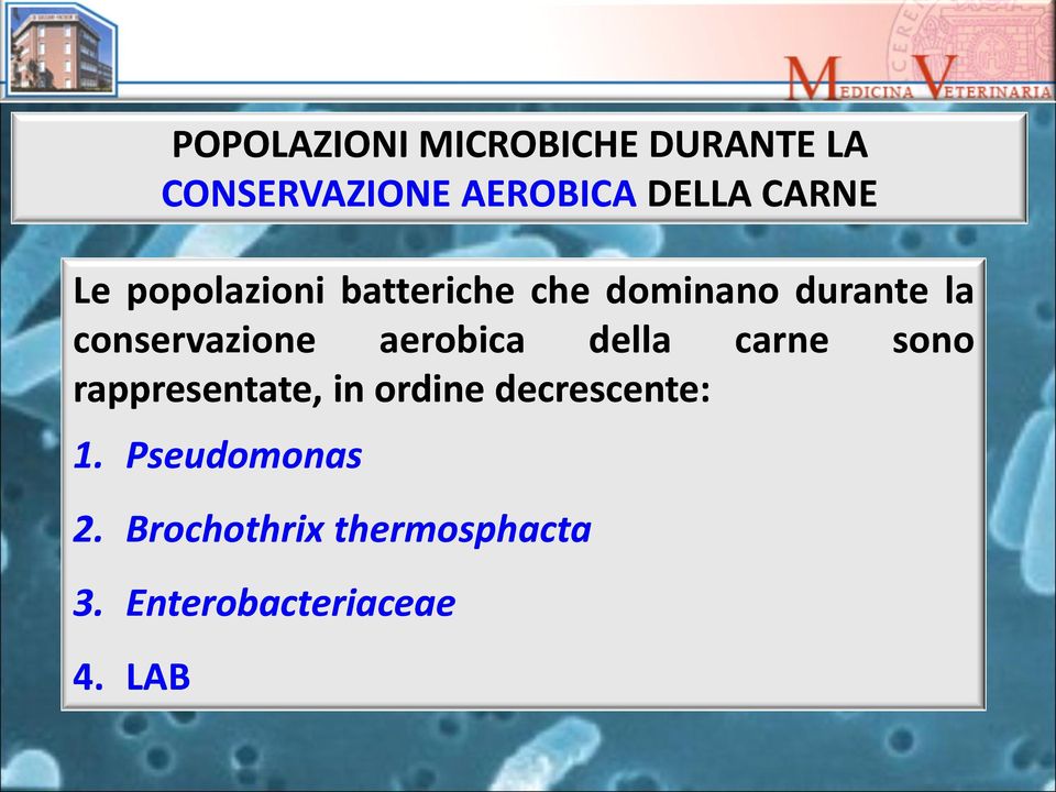 Pseudomonas 2. Brochothrix thermosphacta 3. Enterobacteriaceae 4.