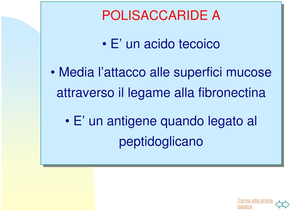 attraverso il il legame alla