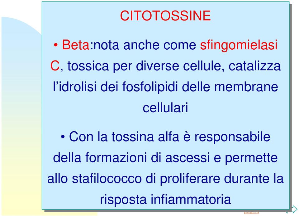 Con la tossina alfa è responsabile della formazioni di ascessi e