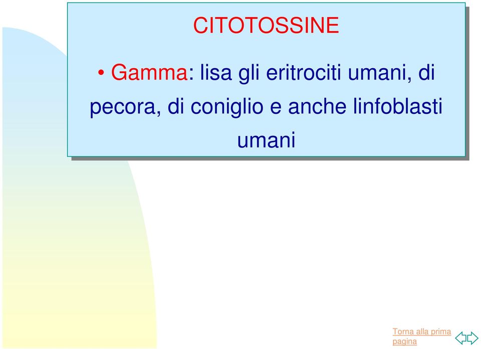 di pecora, di coniglio