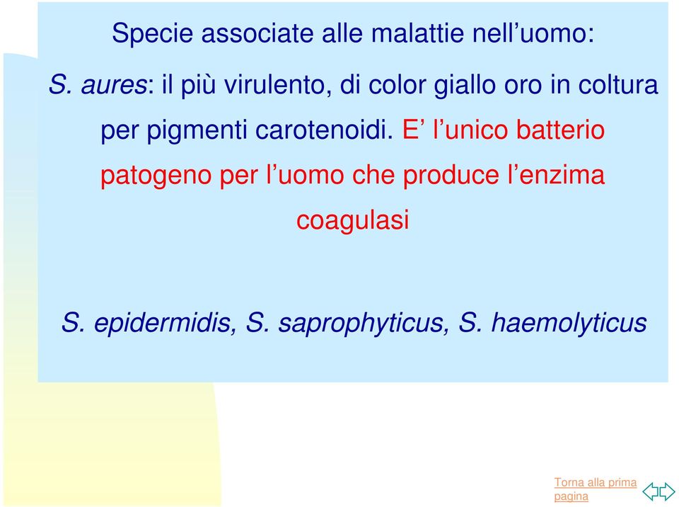 pigmenti carotenoidi.