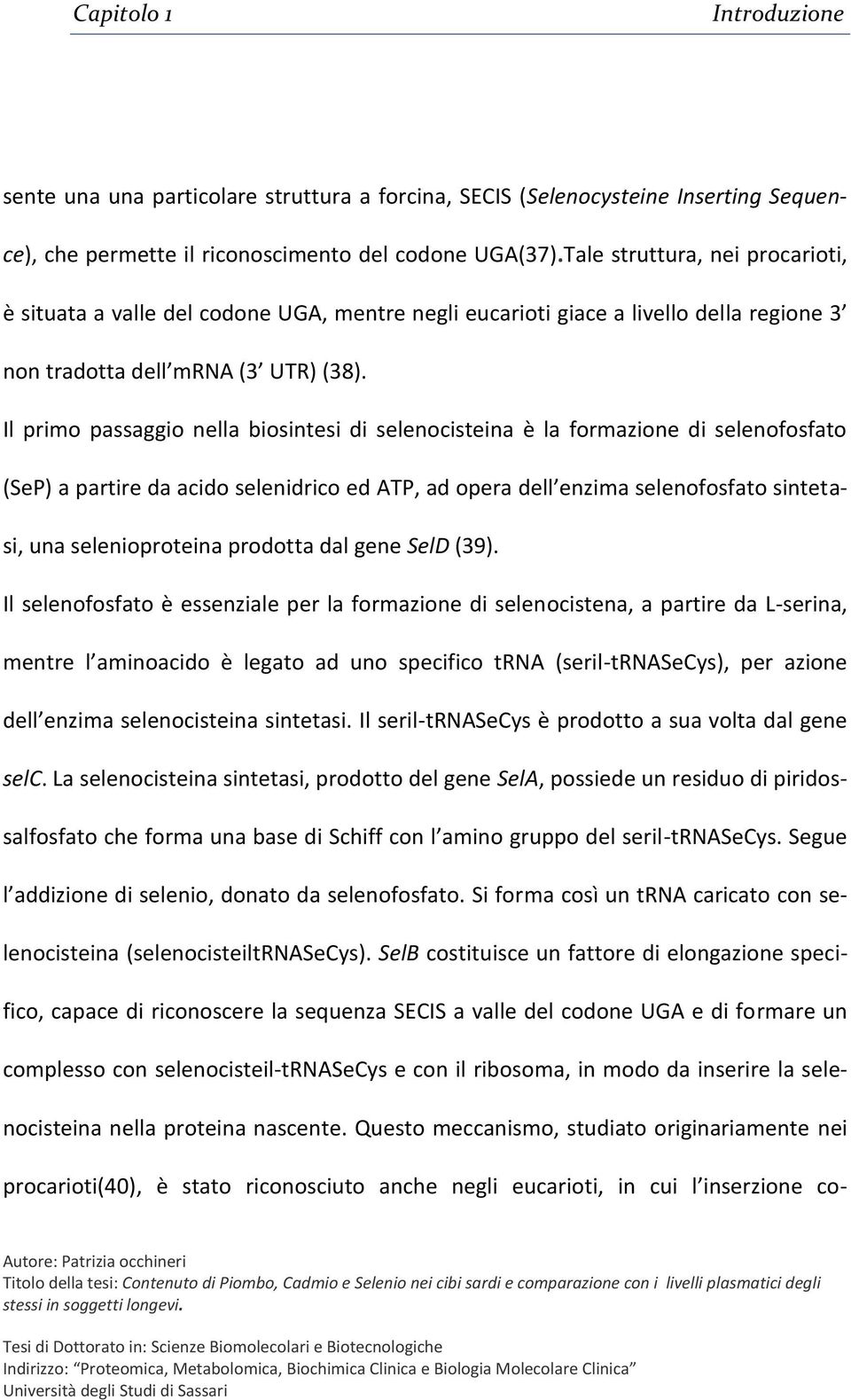 Il primo passaggio nella biosintesi di selenocisteina è la formazione di selenofosfato (SeP) a partire da acido selenidrico ed ATP, ad opera dell enzima selenofosfato sintetasi, una selenioproteina