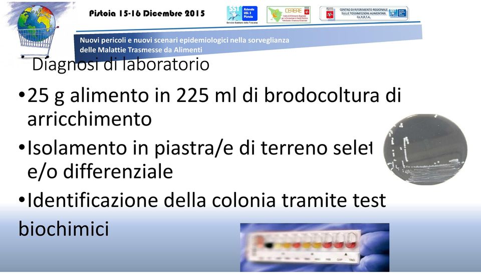 piastra/e di terreno selettivo e/o differenziale