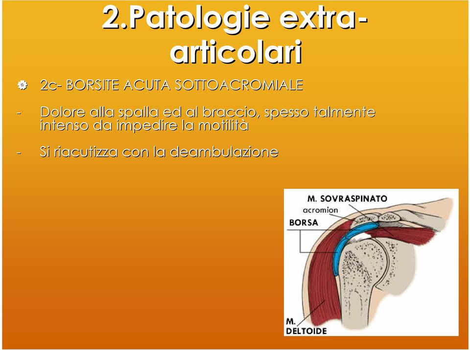 al braccio, spesso talmente intenso da