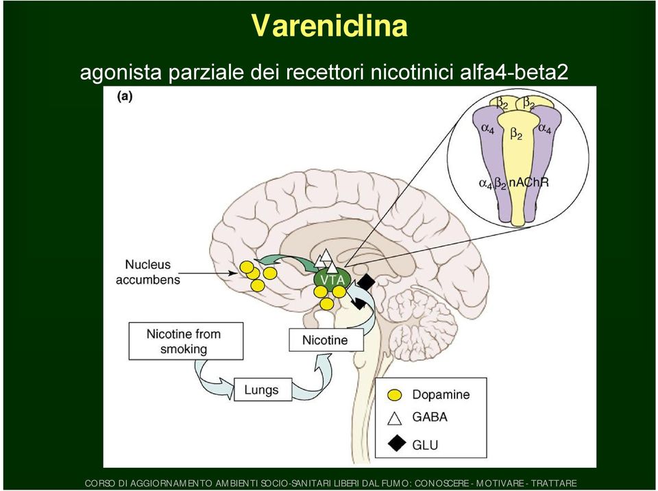 parziale dei