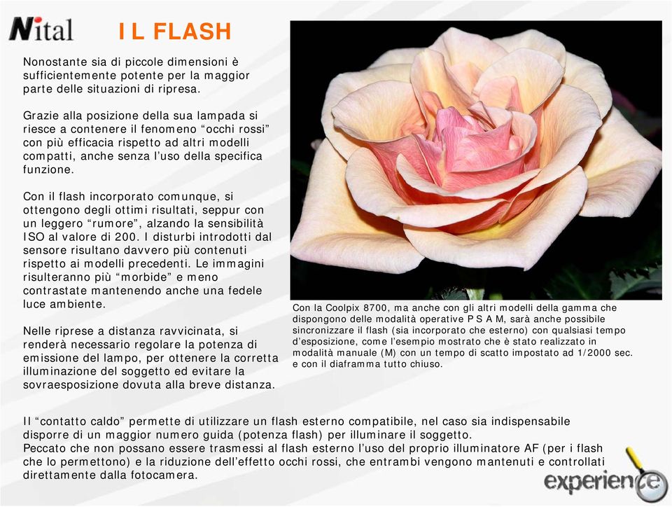 Con il flash incorporato comunque, si ottengono degli ottimi risultati, seppur con un leggero rumore, alzando la sensibilità ISO al valore di 200.