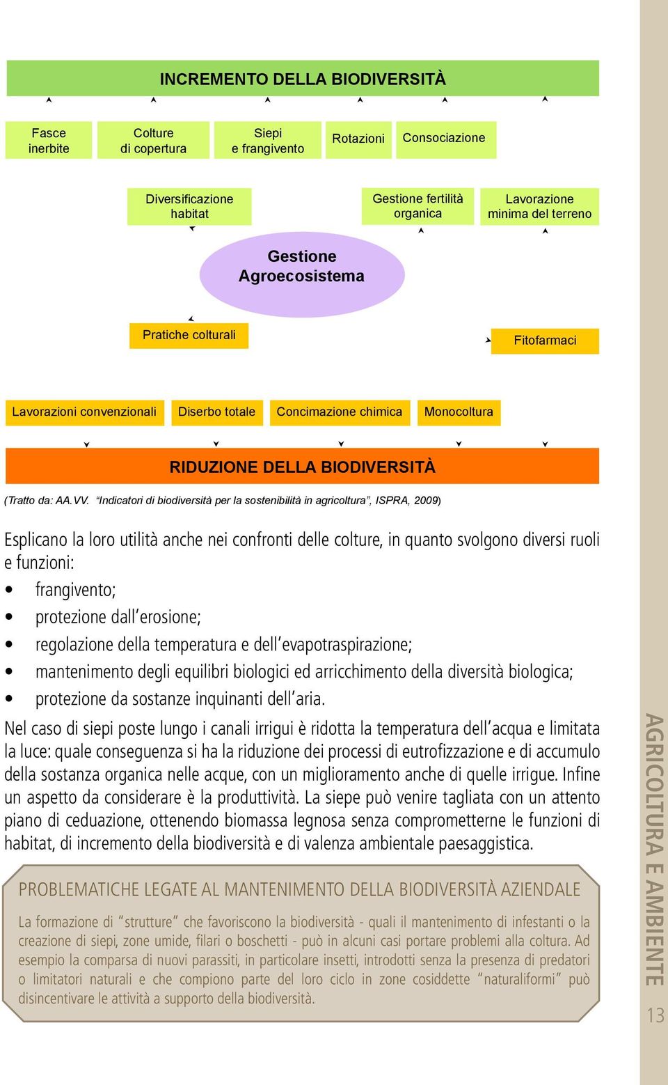 Indicatori di biodiversità per la sostenibilità in agricoltura, ISPRA, 2009) Esplicano la loro utilità anche nei confronti delle colture, in quanto svolgono diversi ruoli e funzioni: frangivento;