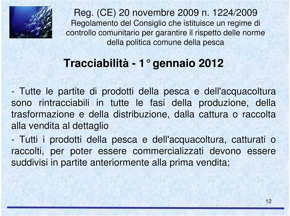 pesca Tracciabilità -1 gennaio 2012 - Tutte le partite di prodotti della pesca e dell'acquacoltura sono rintracciabili in tutte le fasi della