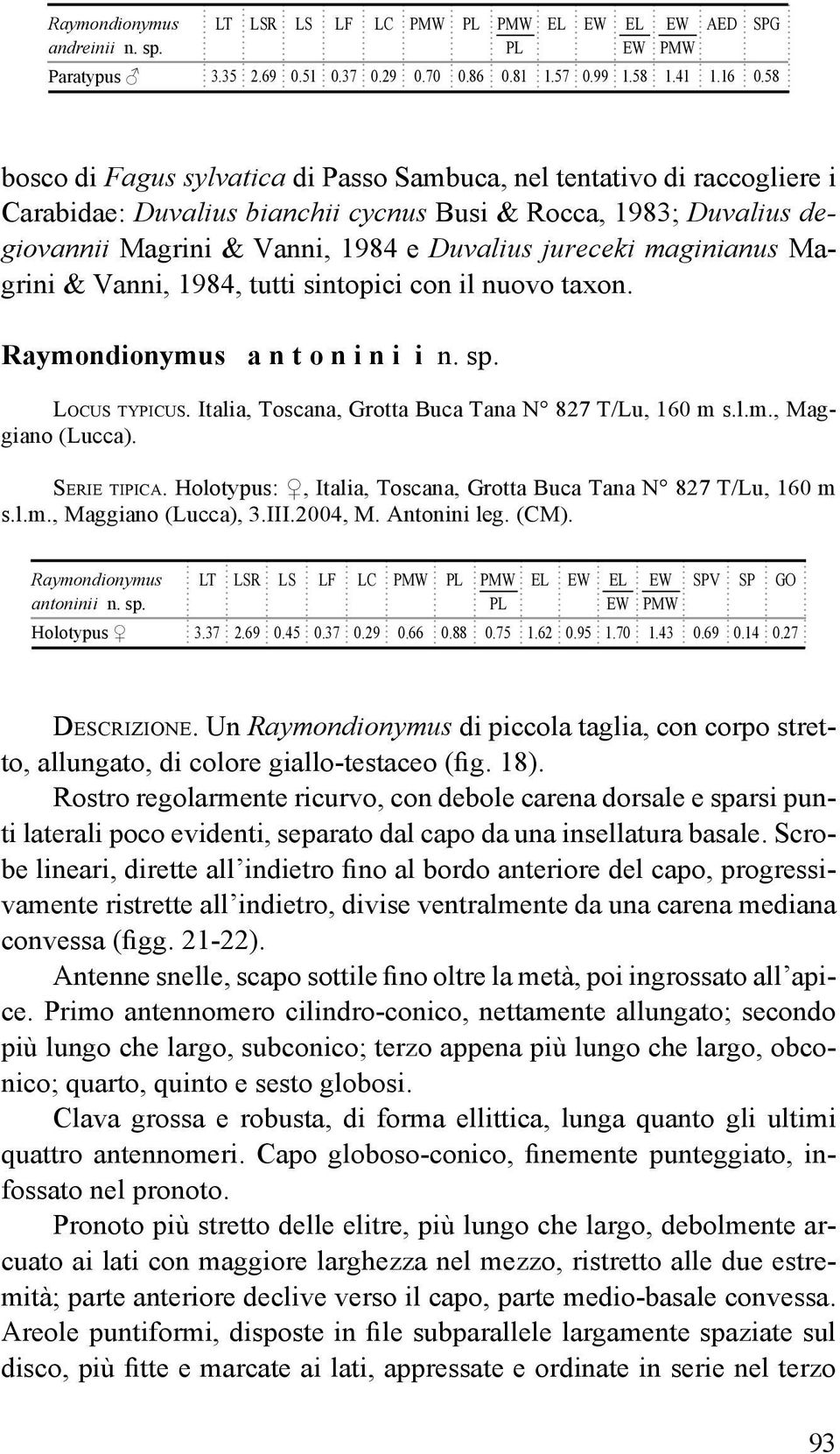 maginianus Magrini & Vanni, 1984, tutti sintopici con il nuovo taxon. Raymondionymus a n t o n i n i i n. sp. Locus typicus. Italia, Toscana, Grotta Buca Tana N 827 T/Lu, 160 m s.l.m., Maggiano (Lucca).