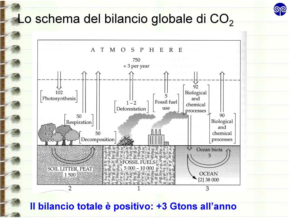 CO 2 Il bilancio