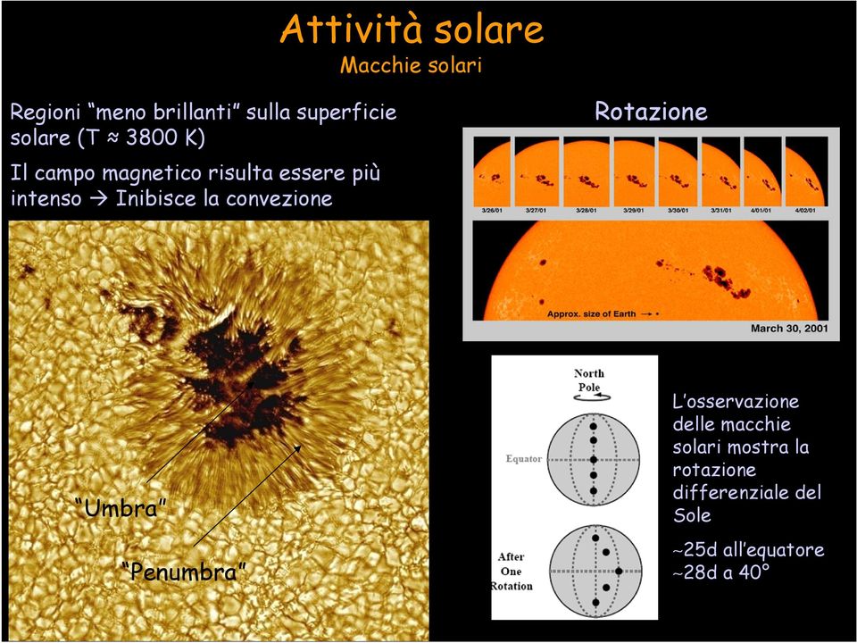 Inibisce la convezione Rotazione Umbra Penumbra L osservazione delle