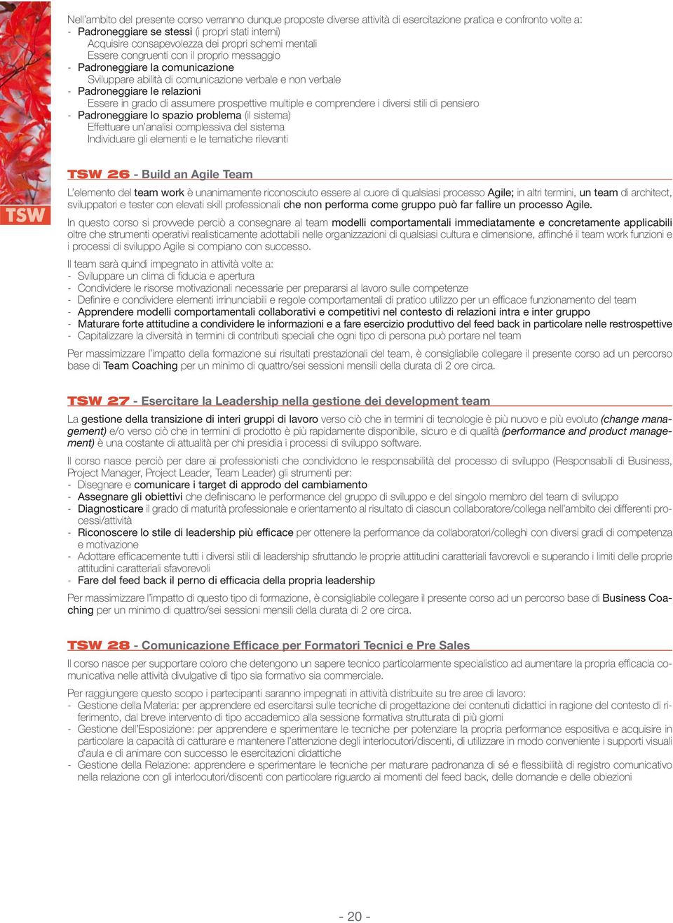 grado di assumere prospettive multiple e comprendere i diversi stili di pensiero - Padroneggiare lo spazio problema (il sistema) Effettuare un analisi complessiva del sistema Individuare gli elementi