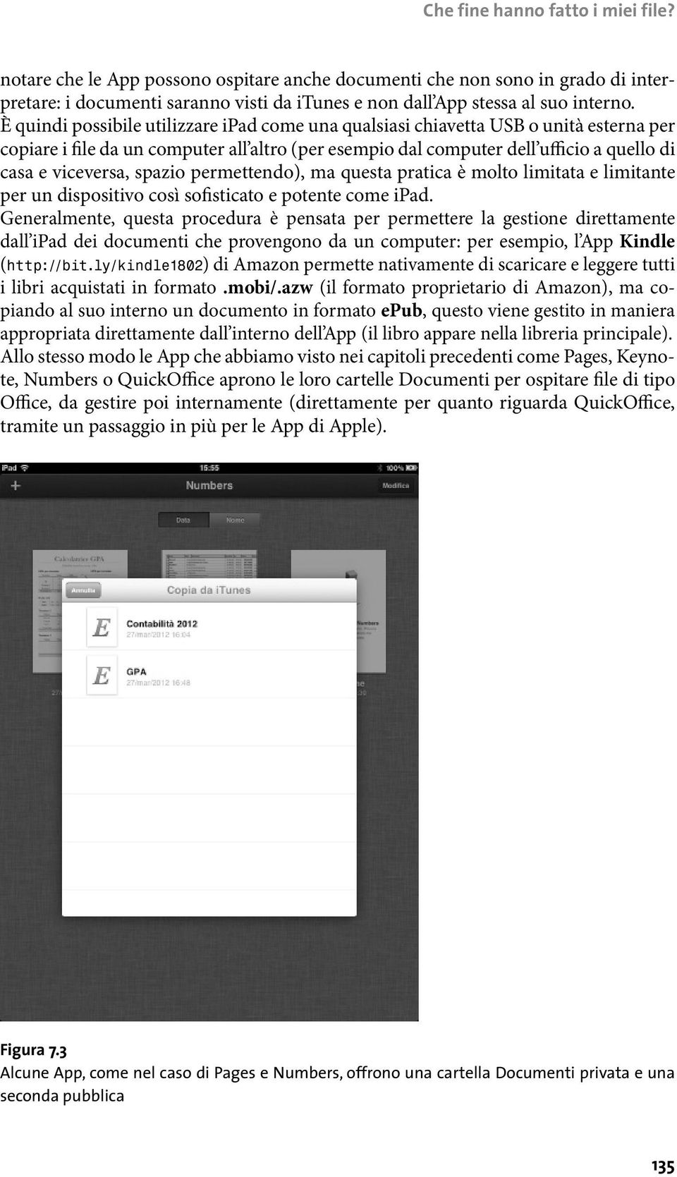 spazio permettendo), ma questa pratica è molto limitata e limitante per un dispositivo così sofisticato e potente come ipad.