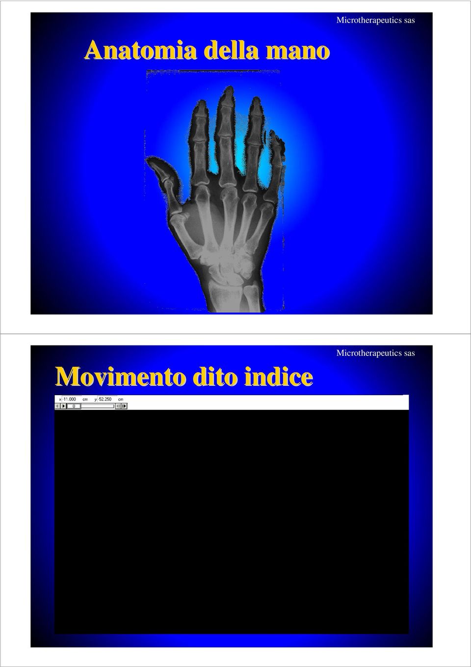 Movimento