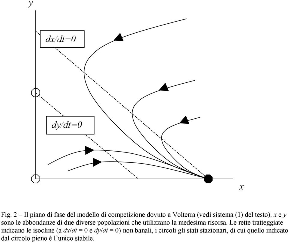 x e y sono le abbondanze di due diverse popolazioni che utilizzano la medesima risorsa.