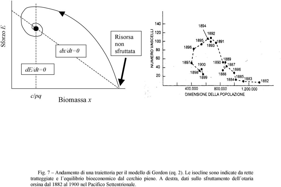 Le isocline sono indicate da rette tratteggiate e l equilibrio bioeconomico dal