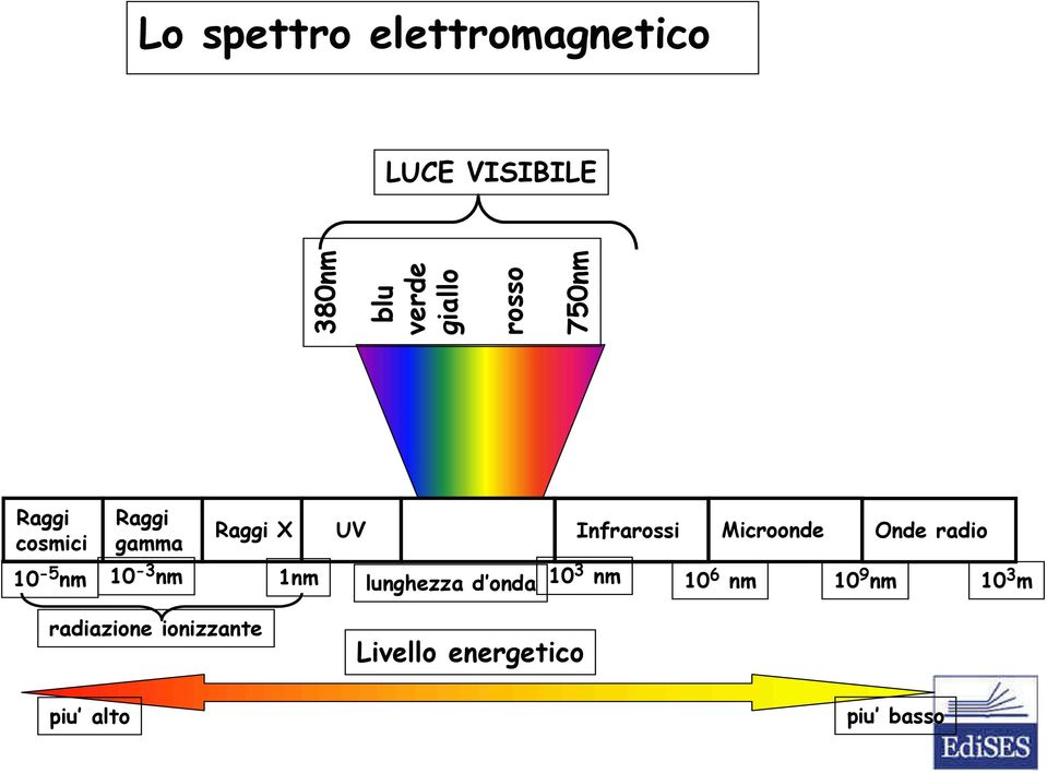 Microonde Onde radio 10-5 nm 10-3 nm 1nm 10 3 nm 10 6 nm 10 9 nm 10