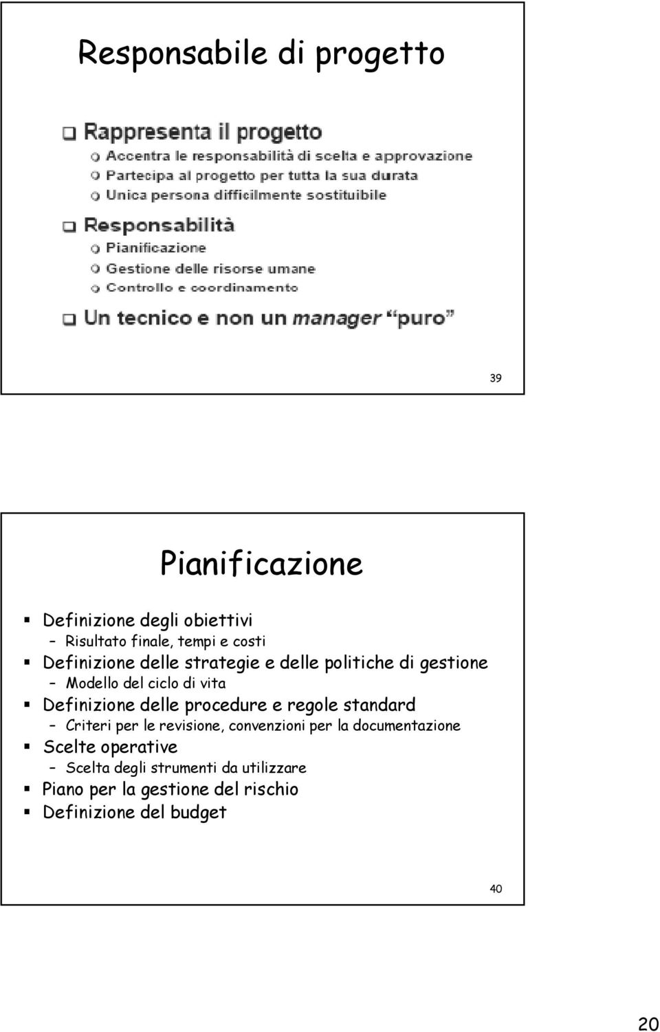 procedure e regole standard Criteri per le revisione, convenzioni per la documentazione Scelte