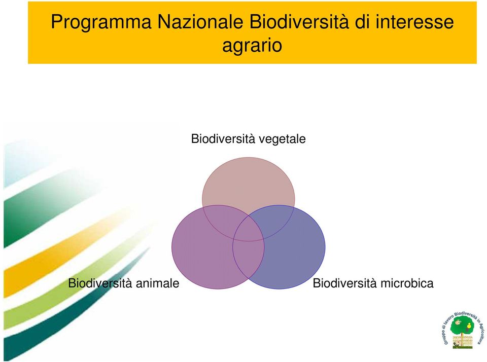 agrario Biodiversità vegetale