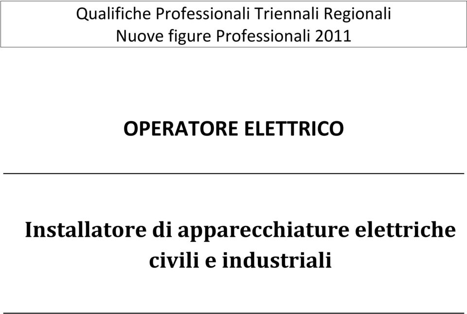 2011 OPERATORE ELETTRICO Installatore