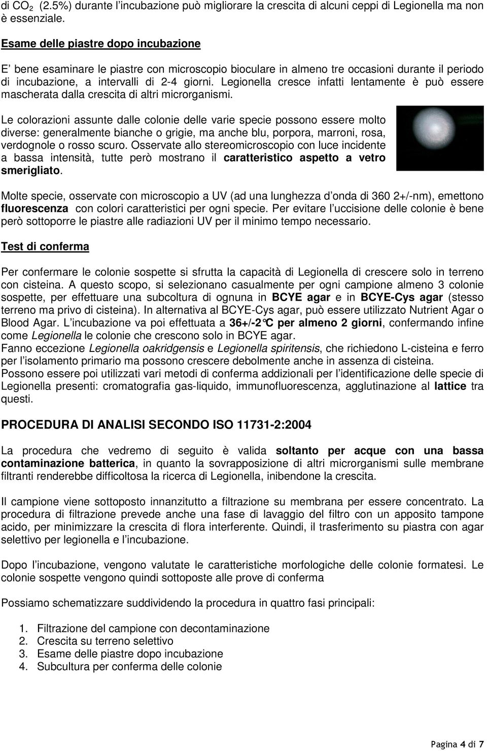 Legionella cresce infatti lentamente è può essere mascherata dalla crescita di altri microrganismi.